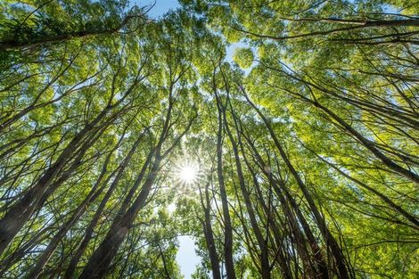 Photo of property in 50 Cliff Road, Tasman, Upper Moutere, 7173