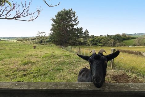 Photo of property in 92a Aka Aka Road, Puni, Pukekohe, 2678