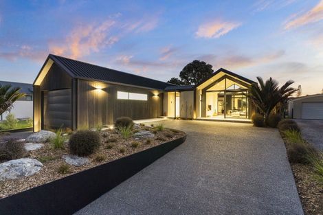 Photo of property in 113 Bellona Road, Whangamata, 3620