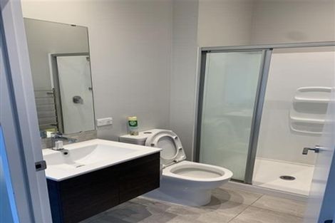 Photo of property in 22 Liquidambar Drive, Hobsonville, Auckland, 0616