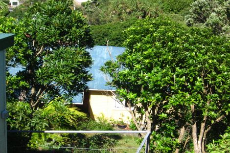 Photo of property in 60 Bedford Street, Northland, Wellington, 6012