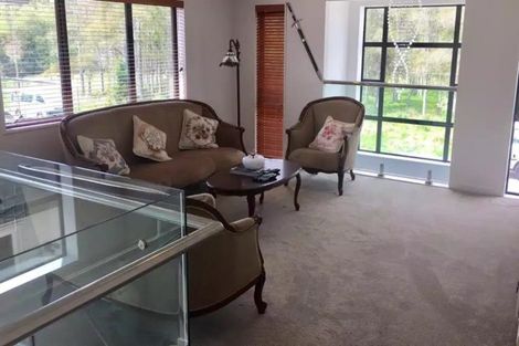 Photo of property in 21 Timmer Road, Flat Bush, Auckland, 2019