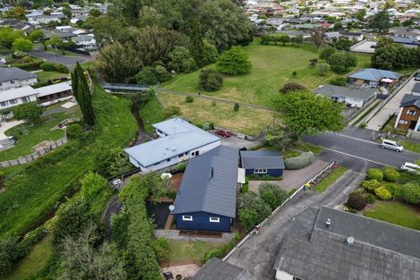 Photo of property in 34 Aberfoyle Street, Dinsdale, Hamilton, 3204