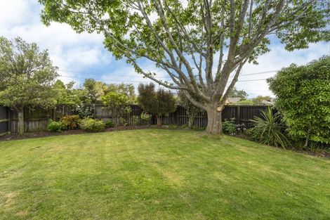 Photo of property in 2 Dalkeith Street, Hoon Hay, Christchurch, 8025