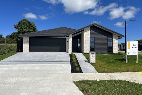 Photo of property in 23 Keri Rua Road, Leamington, 3495