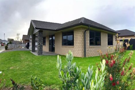 Photo of property in 24 Mary-ellen Place, Coromandel, 3506