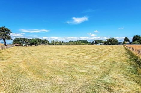 Photo of property in 409 Foxton Shannon Road, Foxton, 4893