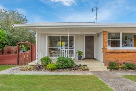 Photo of property in 31 Pelorus Street, Glenview, Hamilton, 3206