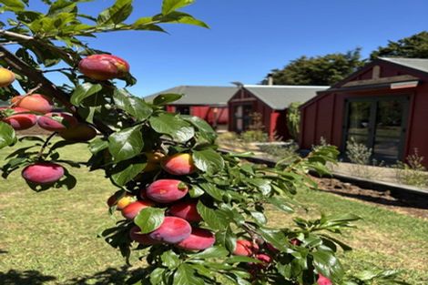 Photo of property in 63 Mangakino Lane, Kauri, Kamo, 0185