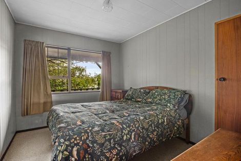 Photo of property in 8 Dawson Place, Alexandra, 9320