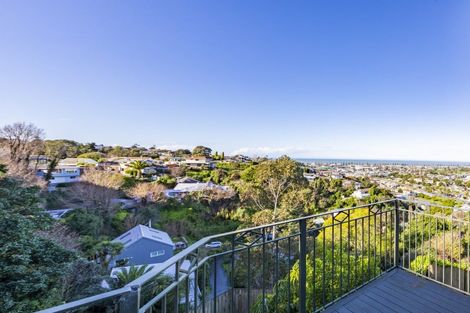 Photo of property in 19 Havelock Road, Hospital Hill, Napier, 4110