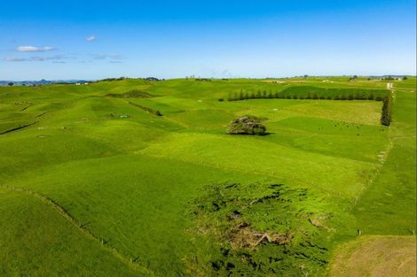 Photo of property in 1000 Redhill Road, Te Kopuru, Dargaville, 0371