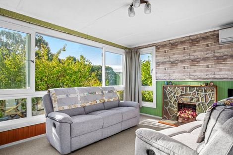 Photo of property in 245a Scotland Street, Roxburgh, 9500