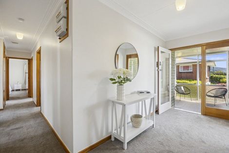 Photo of property in 23 Mornington Road, Balaclava, Dunedin, 9011