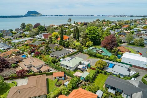 Photo of property in 7a Strathmore Street, Morrinsville, 3300