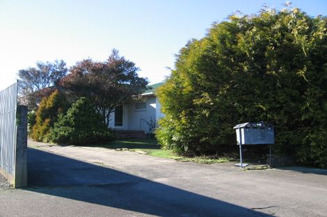 Photo of property in 39 Albert Street, Palmerston North, 4414