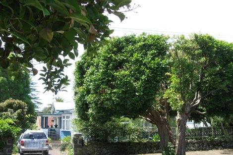 Photo of property in 42 Lloyd Avenue, Mount Albert, Auckland, 1025