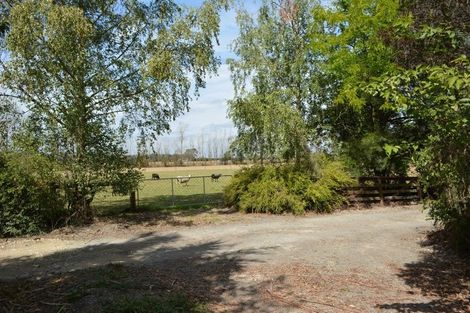 Photo of property in 249 Oxford Road, Fernside, Rangiora, 7471