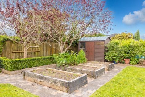 Photo of property in 19 Parkside Drive, Huntington, Hamilton, 3210