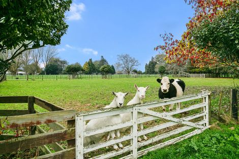 Photo of property in 145 Pickering Road, Tamahere, Cambridge, 3493