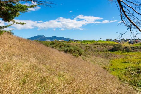 Photo of property in 91a Greenslade Road, Raglan, 3295