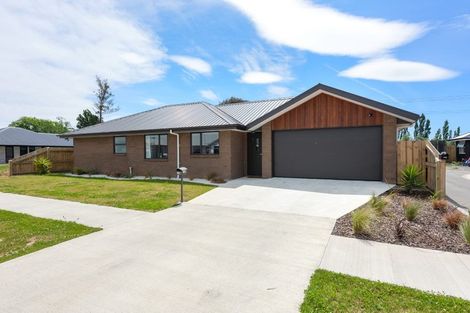 Photo of property in 18 Harvard Road, Burleigh, Blenheim, 7201