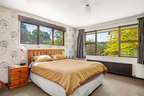 Photo of property in 193 Blackman Road, Blackmans, Alexandra, 9391