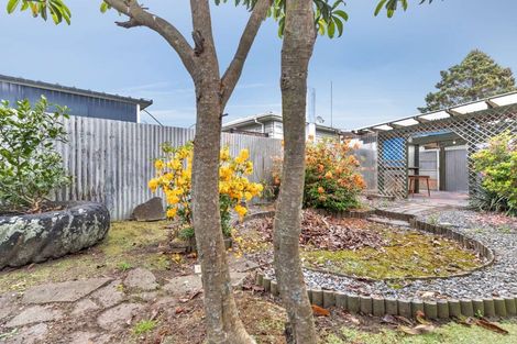 Photo of property in 58 Morvern Crescent, Tokoroa, 3420