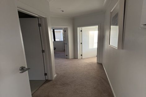 Photo of property in 17 Tyne Street, Roslyn, Dunedin, 9010