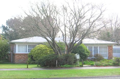 Photo of property in 93 Fitzroy Avenue, Fitzroy, Hamilton, 3206