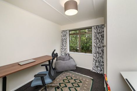 Photo of property in 14 Snowdon Avenue, Terrace End, Palmerston North, 4410