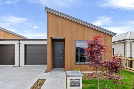 Photo of property in 103 Marsh Avenue, Morrinsville, 3300