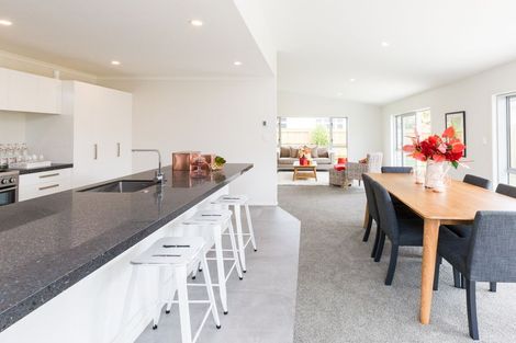 Photo of property in 41 Karina Terrace, Roslyn, Palmerston North, 4414
