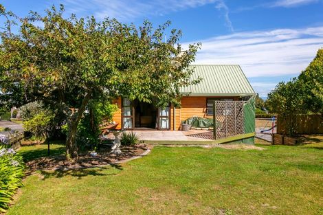 Photo of property in 20 Kaiuru Street, Nukuhau, Taupo, 3330