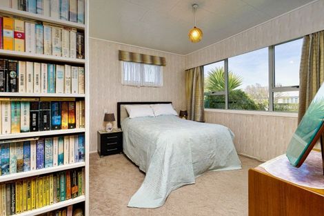 Photo of property in 918 Dufferin Street, Akina, Hastings, 4122