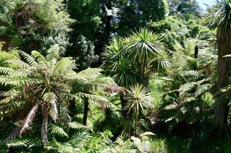 Photo of property in 23-25 Nikau Heights, Little Wanganui, Karamea, 7893