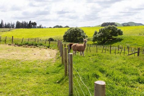 Photo of property in 188 Valley Road, Woodville, 4998