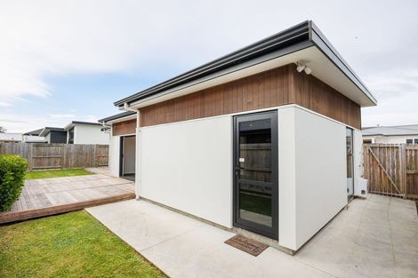 Photo of property in 99b Linton Street, West End, Palmerston North, 4410