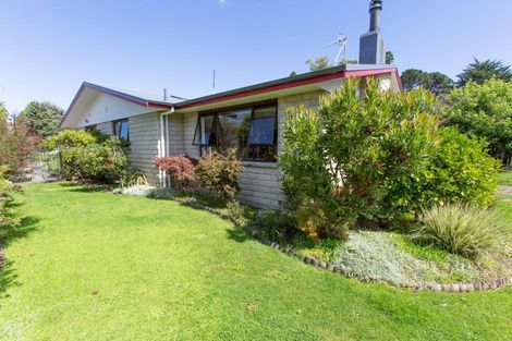 Photo of property in 12 Windsor Street, Dannevirke, 4930