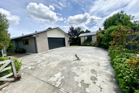 Photo of property in 21b Burnett Street, Oxford, 7430