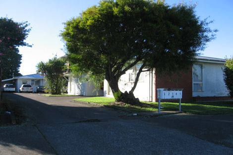 Photo of property in 43 Albert Street, Palmerston North, 4414
