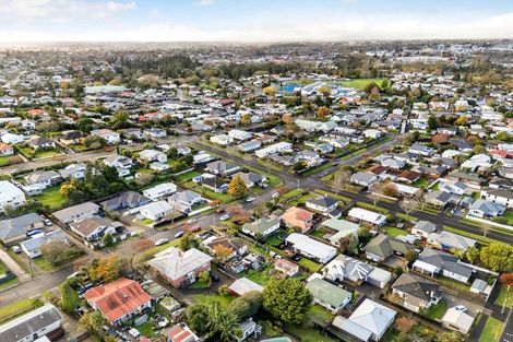 Photo of property in 17 Hinau Street, Maeroa, Hamilton, 3200