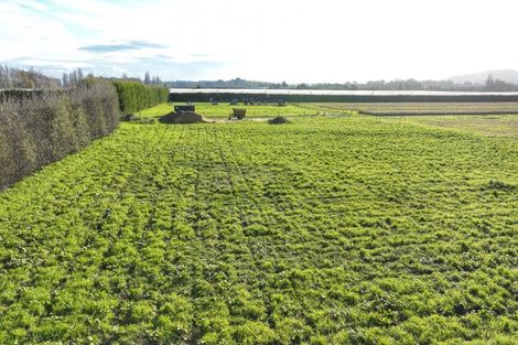 Photo of property in 1023 Links Road, Waiohiki, Napier, 4183