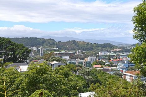 Photo of property in 25 Devon Street, Aro Valley, Wellington, 6021