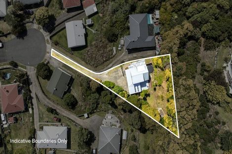 Photo of property in 114 Abingdon Place, Thames, 3500