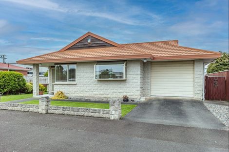 Photo of property in 28 Salisbury Street, Levin, 5510