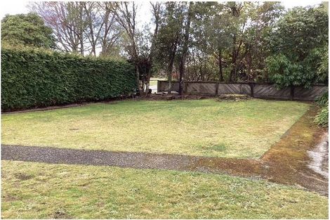 Photo of property in 41 Te Rewha Street, Turangi, 3334