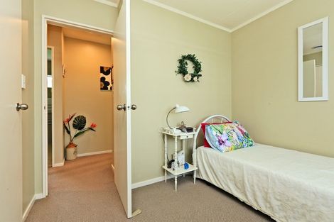 Photo of property in 302 Leo Street, Akina, Hastings, 4122