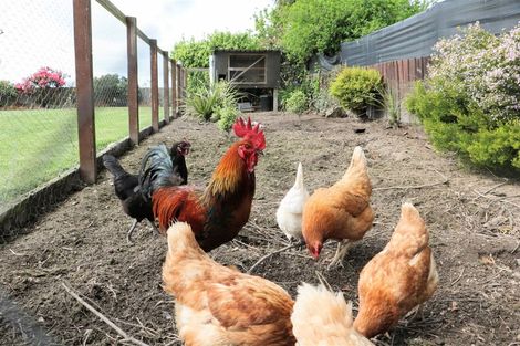 Photo of property in 52 Rosebrook Road, Claremont, Timaru, 7974