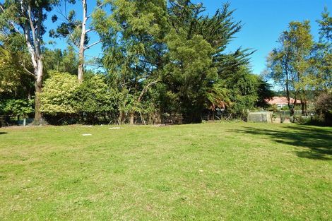 Photo of property in 5 Camp Street, Kaniere, Hokitika, 7811